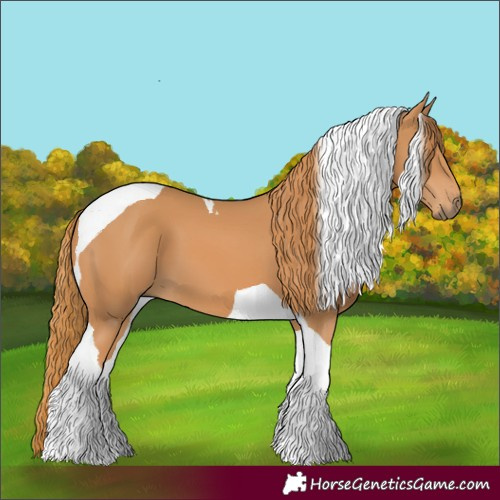 Horse Color:Chestnut Tobiano 