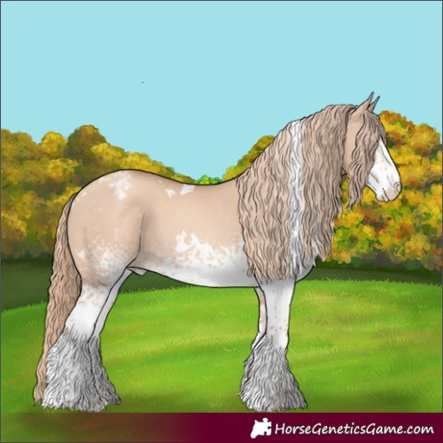 Horse Color:White Spotted Gold Champagne Dun Appaloosa 