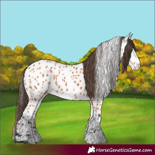 Horse Color:Bay Frame Leopard
