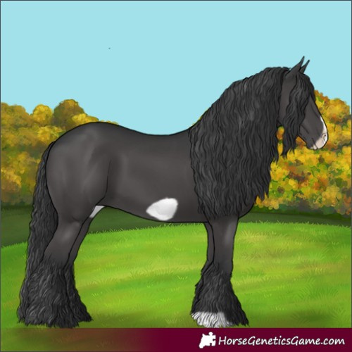 Horse Color:Black Frame
