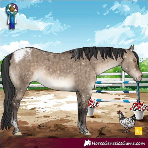 Horse Color:Brown Dun Tobiano Appaloosa Brindle 