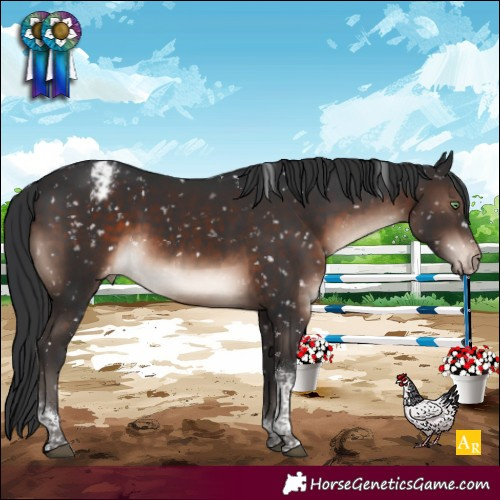 Horse Color:Brown Mushroom Tobiano Appaloosa