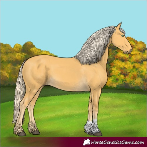 Horse Color:Palomino 