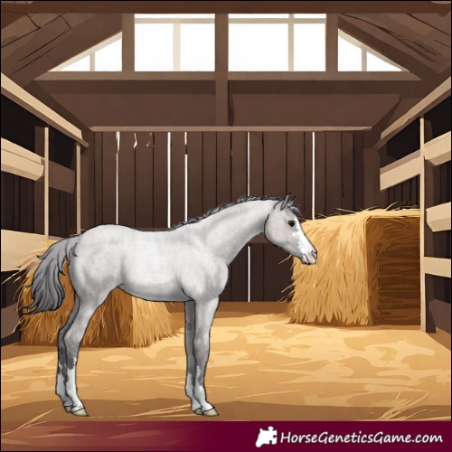 Horse Color:Smoky Grullo Roan 