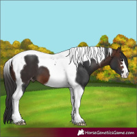 Horse Color:Brown Tobiano Varnish 