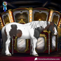 Horse Color:Brown Tobiano Varnish 