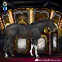 Horse Color:Brown Tobiano Varnish