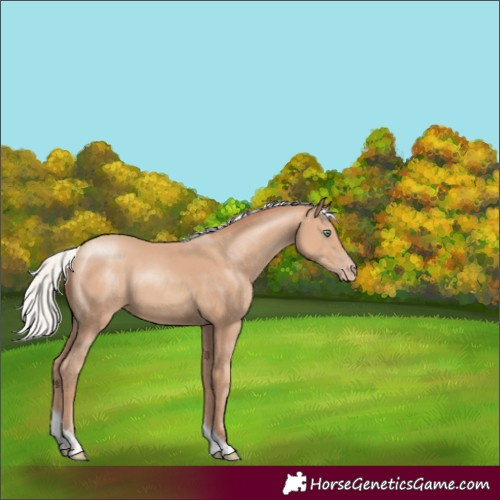 Horse Color:Silver Classic Champagne Tobiano Rabicano 