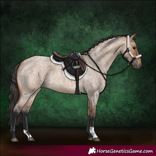 Horse Color:Bay Roan Dun 