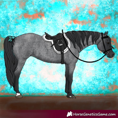 Horse Color:Blue Roan