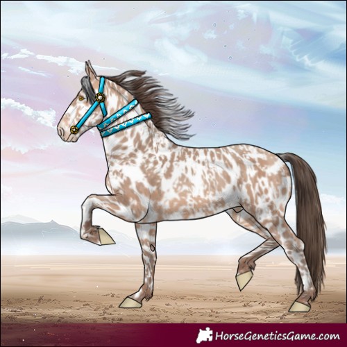 Horse Color:Amber Champagne Near Leopard and Amber Champagne Near Leopard