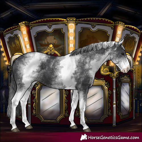Horse Color:White Spotted Black 
