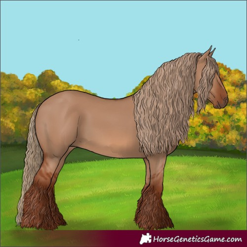 Horse Color:Red Dun 