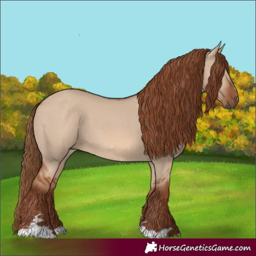 Horse Color:Red Dun