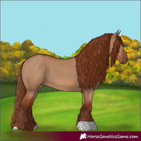 Horse Color:Red Dun