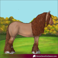 Horse Color:Red Dun 