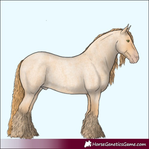 Horse Color:Gold Champagne Roan