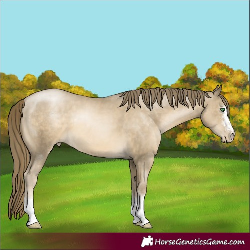 Horse Color:Smoky Black Pearl 