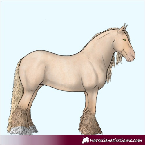 Horse Color:Gold Champagne Roan 