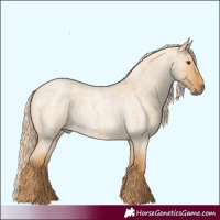 Horse Color:Red Dun Roan 