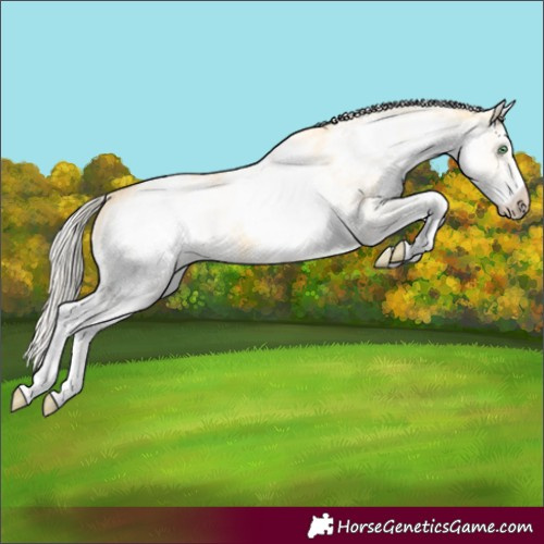 Horse Color:White Spotted Gold Cream Champagne