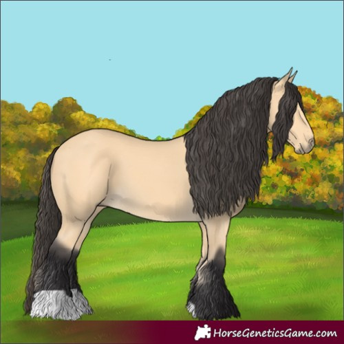 Horse Color:Buckskin