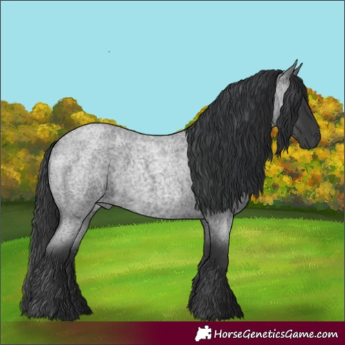 Horse Color:Blue Roan 