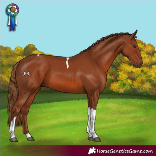 Horse Color:Chestnut Tobiano 
