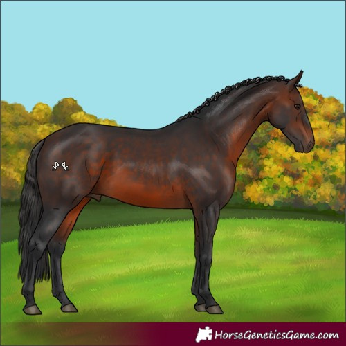 Horse Color:Brown 