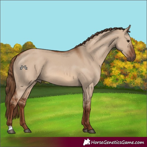 Horse Color:Red Dun 
