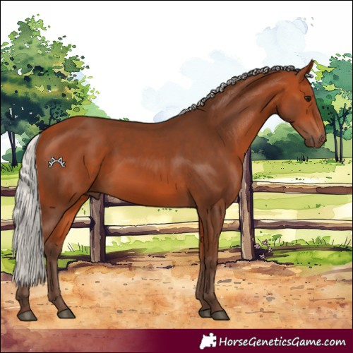 Horse Color:Silver Bay 