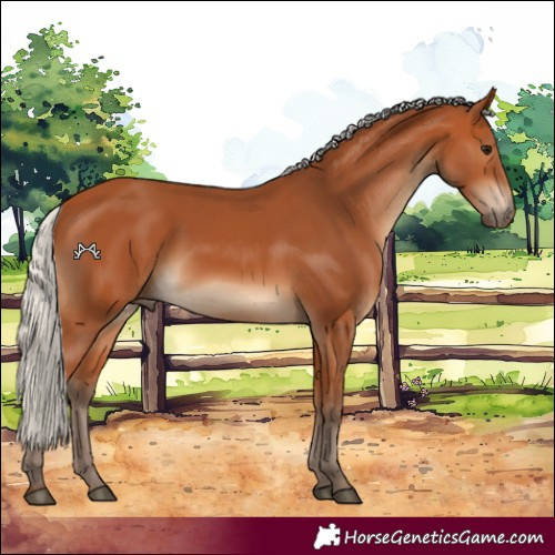 Horse Color:Silver Bay