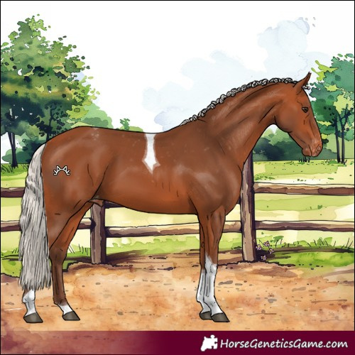 Horse Color:Silver Bay Tobiano Varnish