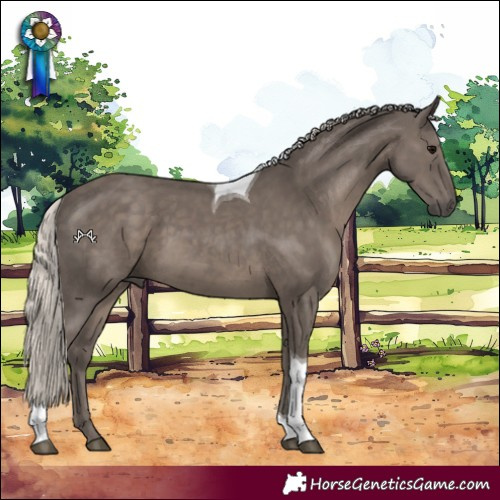 Horse Color:Silver Black Tobiano 