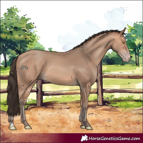 Horse Color:Amber Champagne