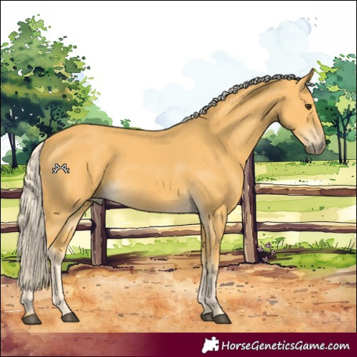 Horse Color:Palomino 