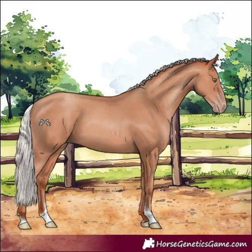 Horse Color:Silver Sable Champagne Tobiano