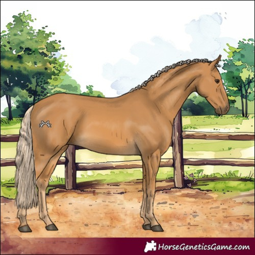 Horse Color:Palomino 
