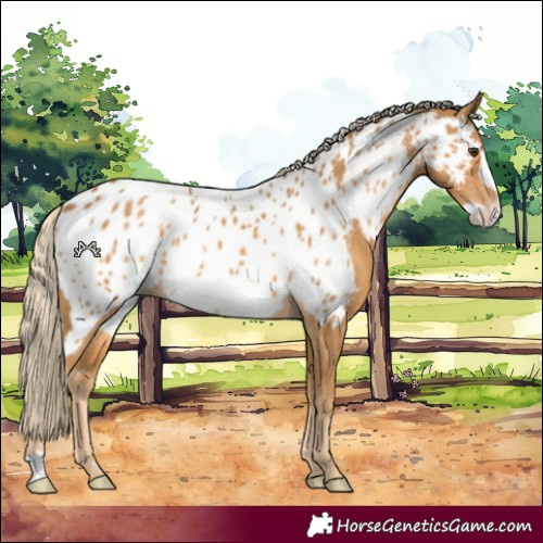 Horse Color:Palomino Frame Near Leopard 