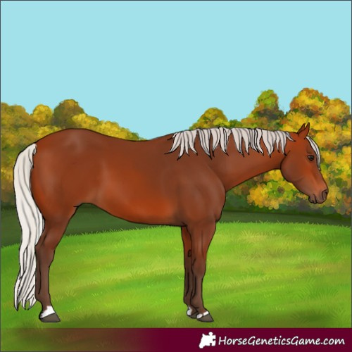 Horse Color:Silver Bay
