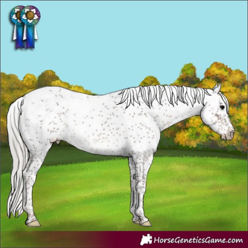 Horse Color:Silver Black Sabino