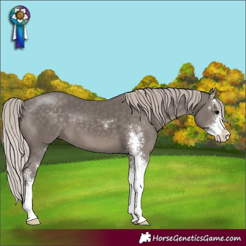 Horse Color:Silver Black Sabino