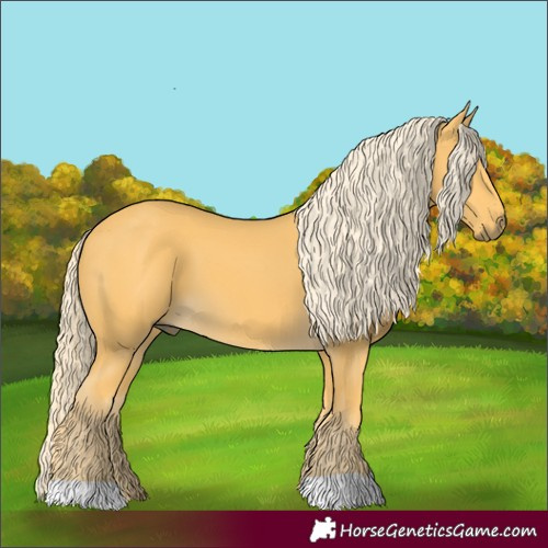 Horse Color:Palomino