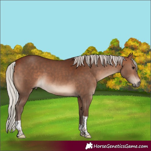 Horse Color:Silver Bay Tobiano