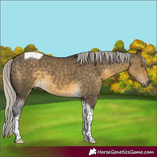 Horse Color:Silver Buckskin Dun Tobiano