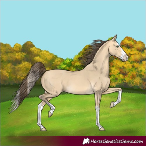 Horse Color:Amber Cream Champagne Dun Splash