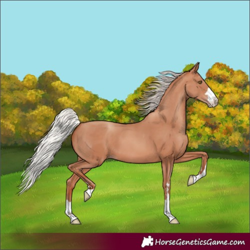 Horse Color:Silver Sable Champagne