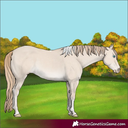 Horse Color:Smoky Creme Dun Tobiano
