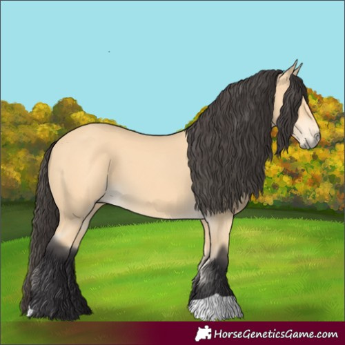 Horse Color:Buckskin