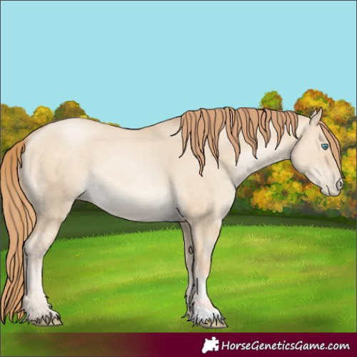 Horse Color:Buckskin Pearl Dun 